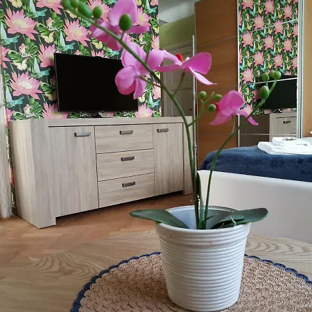 Tuvi Apartment *